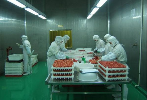 生鮮冷庫(kù)車間