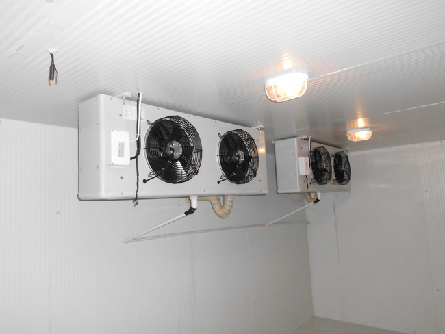 什么是冰庫(kù)？冰庫(kù)如何設(shè)計(jì)建造